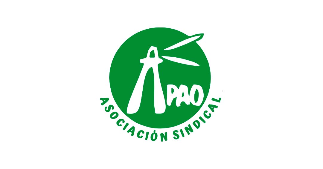 APAO, defiende la creación de la categoría «Orientador/a Laboral» en el SAE